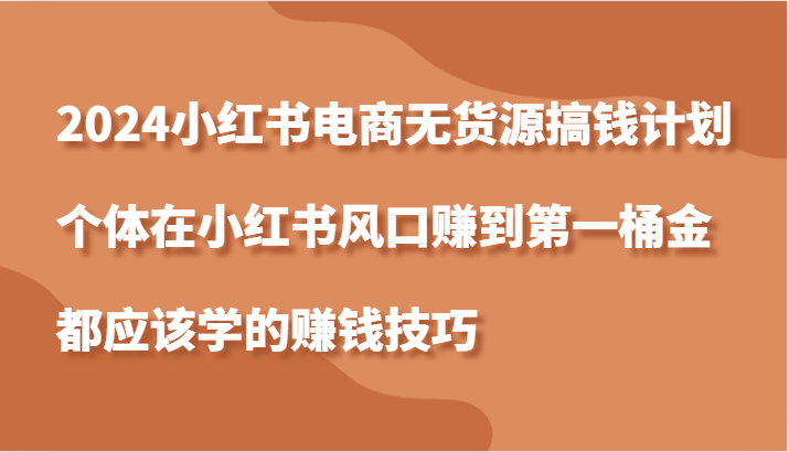 2024小红书电商无货源搞钱计划，个体在小红书风口赚到第一桶金应该学的赚钱技巧-蓝天项目网