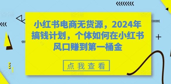 小红书电商无货源，2024年搞钱计划，个体如何在小红书风口赚到第一桶金-蓝天项目网