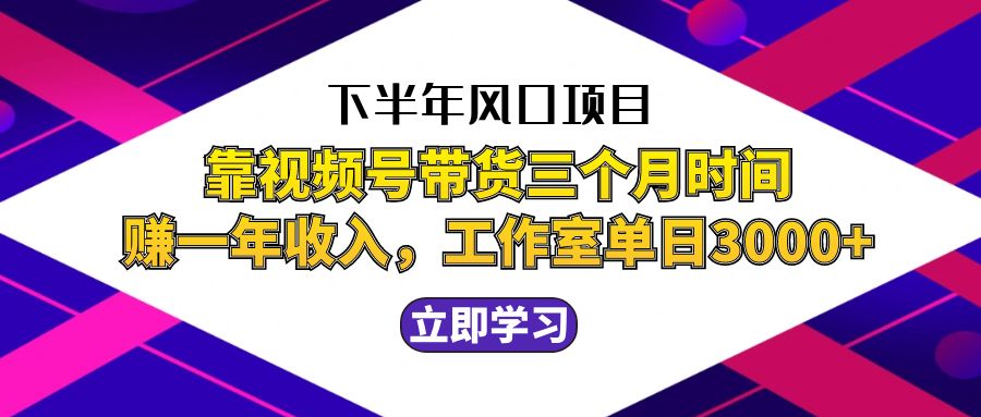 （12849期）下半年风口项目，靠视频号带货三个月时间赚一年收入，工作室实测单日3…-蓝天项目网