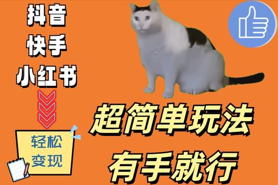 超简单玩法，有手就行，靠猫咪视频日入500+【揭秘】-蓝天项目网