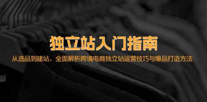 独立站入门指南：从选品到建站，全面解析跨境电商独立站运营技巧与爆品打造方法-蓝天项目网