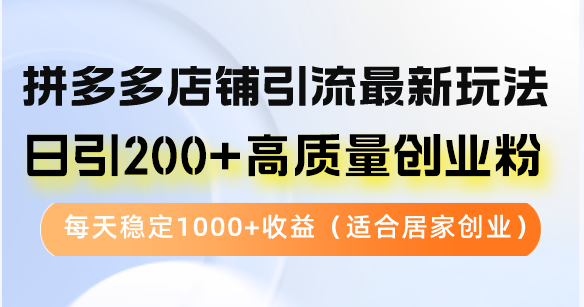 （12893期）拼多多店铺引流最新玩法，日引200+高质量创业粉，每天稳定1000+收益（…-蓝天项目网