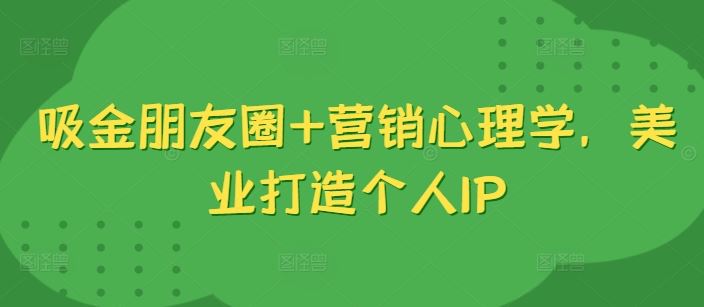 吸金朋友圈+营销心理学，美业打造个人IP-蓝天项目网