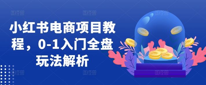 小红书电商项目教程，0-1入门全盘玩法解析-蓝天项目网