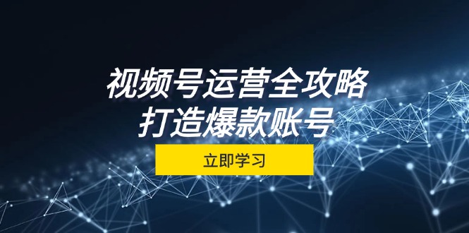 视频号运营全攻略，从定位到成交一站式学习，视频号核心秘诀，打造爆款账号-蓝天项目网