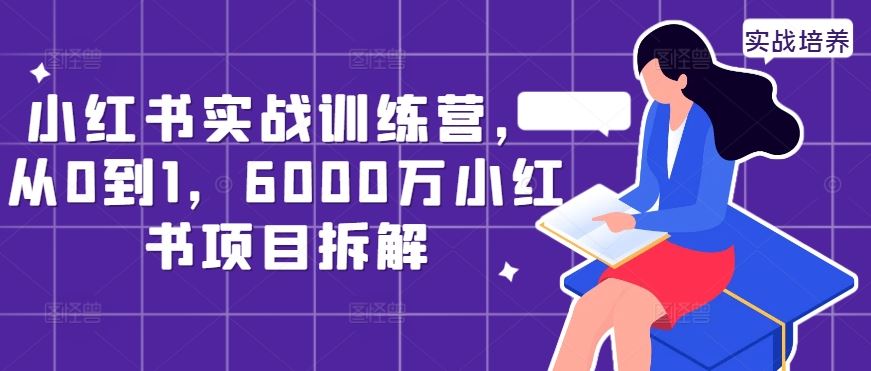 小红书实战训练营，从0到1，6000万小红书项目拆解-蓝天项目网