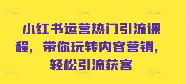 小红书运营热门引流课程，带你玩转内容营销，轻松引流获客-蓝天项目网