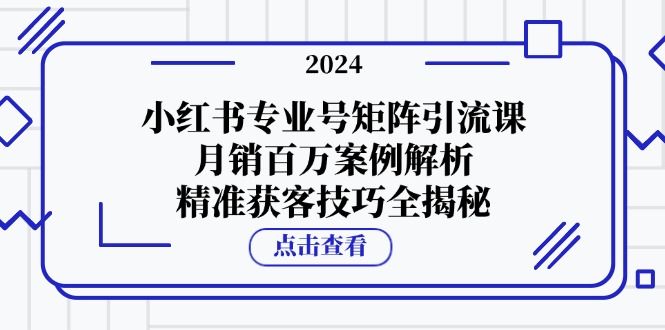 小红书专业号矩阵引流课，月销百万案例解析，精准获客技巧全揭秘-蓝天项目网