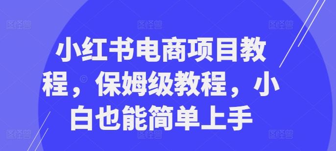 小红书电商项目教程，保姆级教程，小白也能简单上手-蓝天项目网