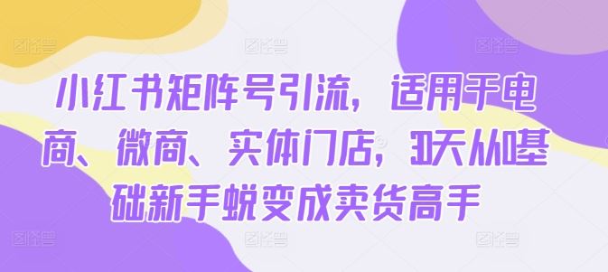 小红书矩阵号引流，适用于电商、微商、实体门店，30天从0基础新手蜕变成卖货高手-蓝天项目网