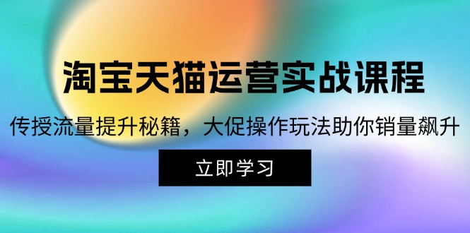 （12959期）淘宝&天猫运营实战课程，传授流量提升秘籍，大促操作玩法助你销量飙升-蓝天项目网