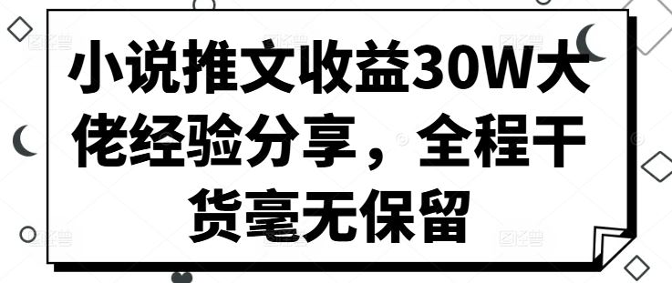 小说推文收益30W大佬经验分享，全程干货毫无保留-蓝天项目网