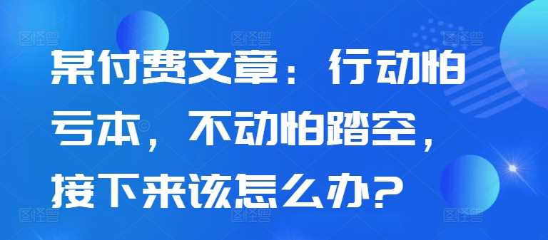 某付费文章：行动怕亏本，不动怕踏空，接下来该怎么办?-蓝天项目网