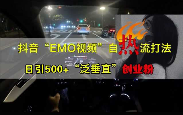 抖音EMO视频自热打法，日引500+“泛垂直”创业粉-蓝天项目网