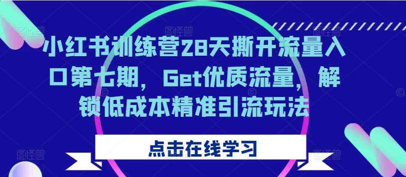 小红书训练营28天撕开流量入口第七期，Get优质流量，解锁低成本精准引流玩法-蓝天项目网