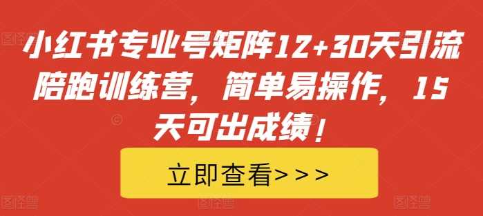 小红书专业号矩阵12+30天引流陪跑训练营，简单易操作，15天可出成绩!-蓝天项目网