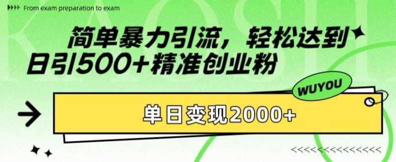 简单暴力引流，轻松达到日引500+精准创业粉，单日变现2k【揭秘】-蓝天项目网