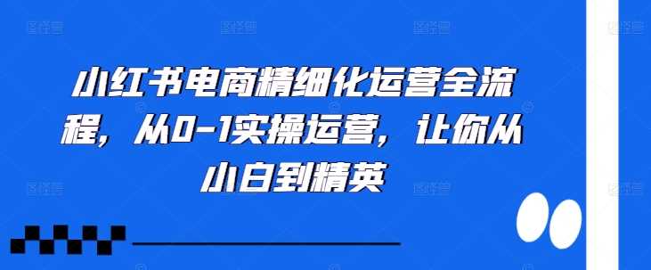 小红书电商精细化运营全流程，从0-1实操运营，让你从小白到精英-蓝天项目网