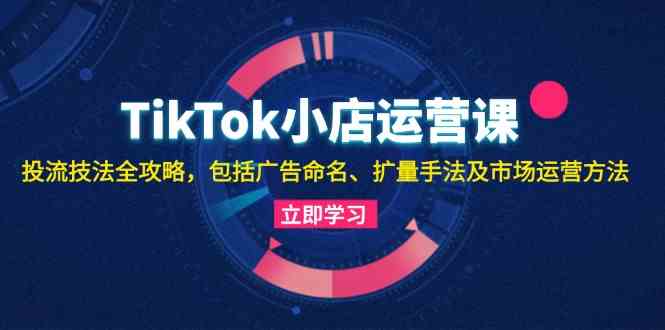 TikTok小店运营课：投流技法全攻略，包括广告命名 扩量手法及市场运营方法-蓝天项目网