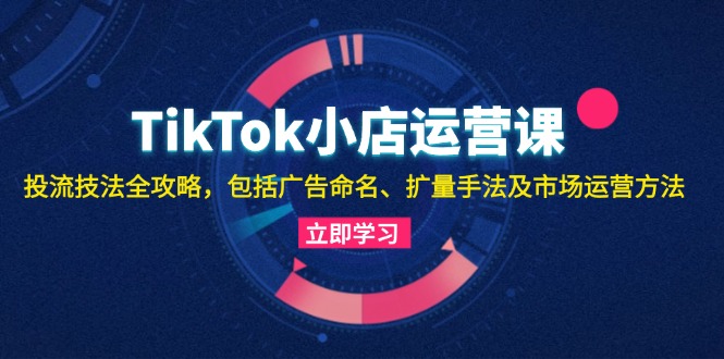 （13063期）TikTok小店运营课：投流技法全攻略，包括广告命名 扩量手法及市场运营方法-蓝天项目网