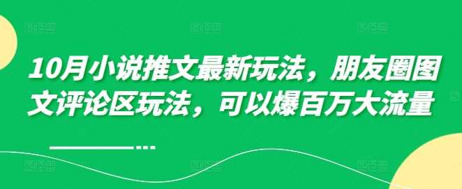 10月小说推文最新玩法，朋友圈图文评论区玩法，可以爆百万大流量-蓝天项目网