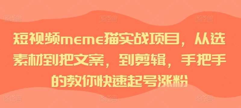 短视频meme猫实战项目，从选素材到把文案，到剪辑，手把手的教你快速起号涨粉-蓝天项目网