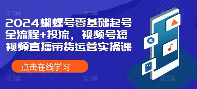 2024蝴蝶号零基础起号全流程+投流，视频号短视频直播带货运营实操课-蓝天项目网