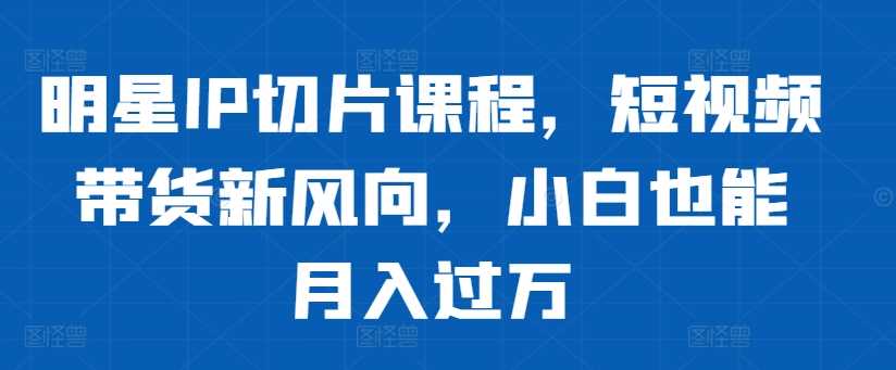 明星IP切片课程，短视频带货新风向，小白也能月入过万-蓝天项目网