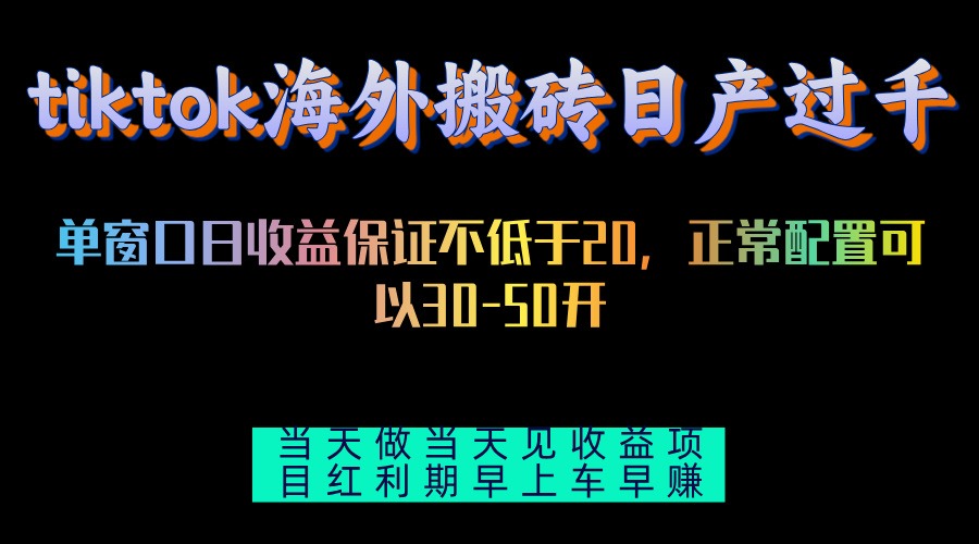 （13079期）tiktok海外搬砖项目单机日产过千当天做当天见收益-蓝天项目网