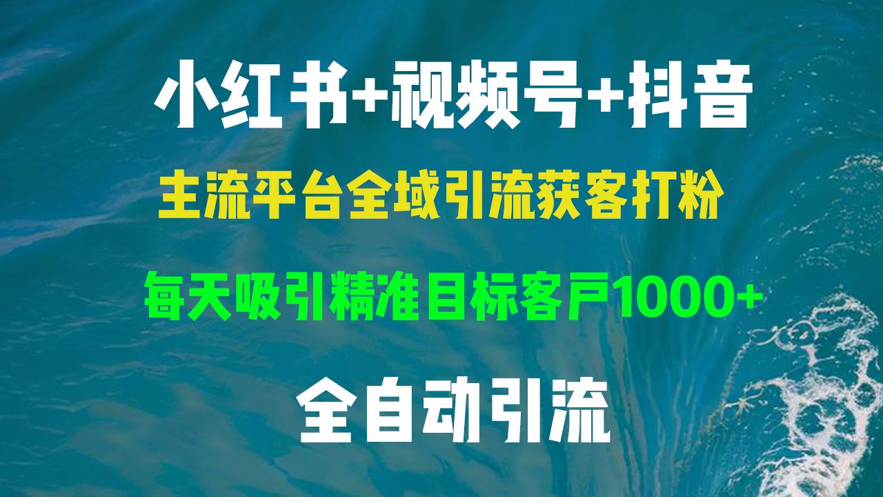 （13104期）小红书，视频号，抖音主流平台全域引流获客打粉，每天吸引精准目标客户…-蓝天项目网