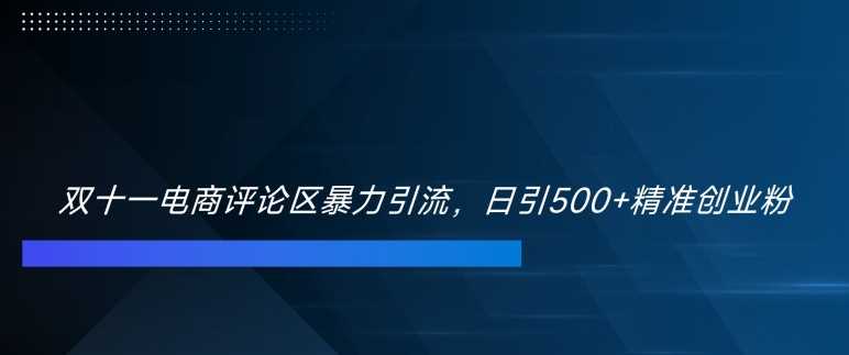 双十一电商评论区暴力引流，日引500+精准创业粉【揭秘】-蓝天项目网