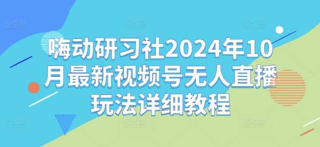 嗨动研习社2024年10月最新视频号无人直播玩法详细教程-蓝天项目网