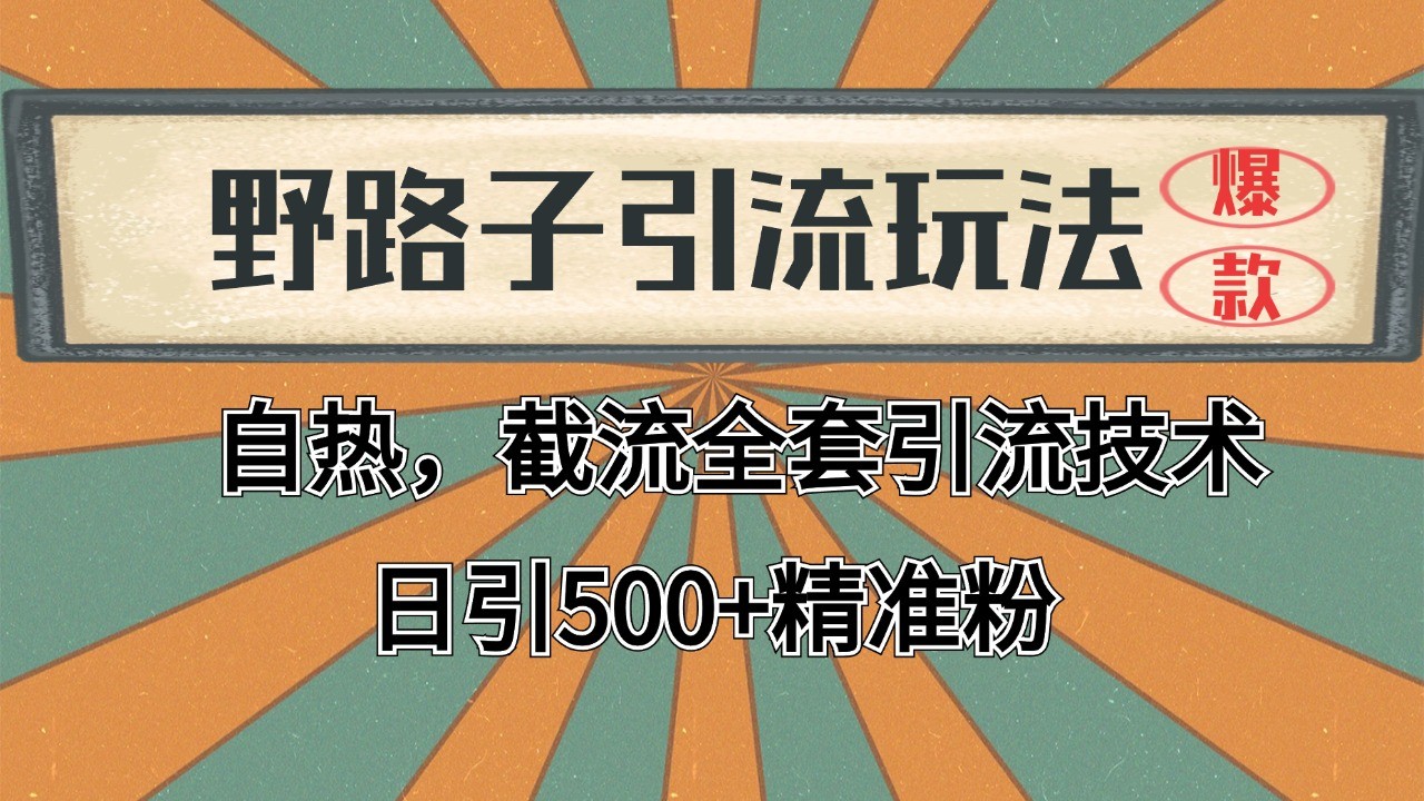 抖音小红书视频号全平台引流打法，全自动引流日引2000+精准客户-蓝天项目网