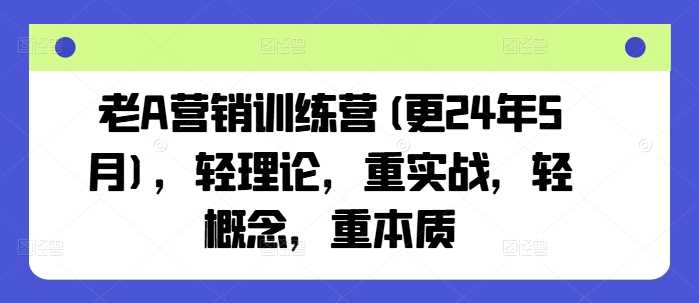 老A营销训练营(更24年10月)，轻理论，重实战，轻概念，重本质-蓝天项目网