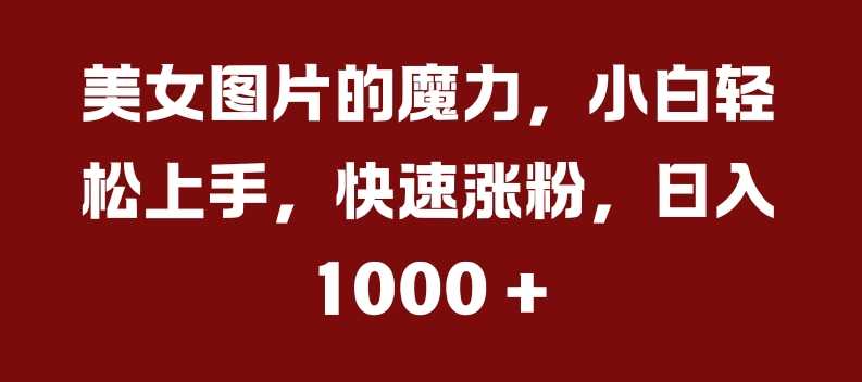 美女图片的魔力，小白轻松上手，快速涨粉，日入几张【揭秘】-蓝天项目网