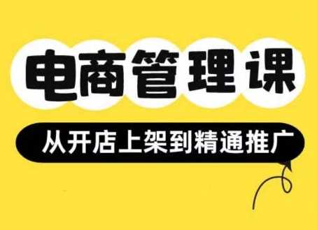 小红书&闲鱼开店从开店上架到精通推广，电商管理课-蓝天项目网