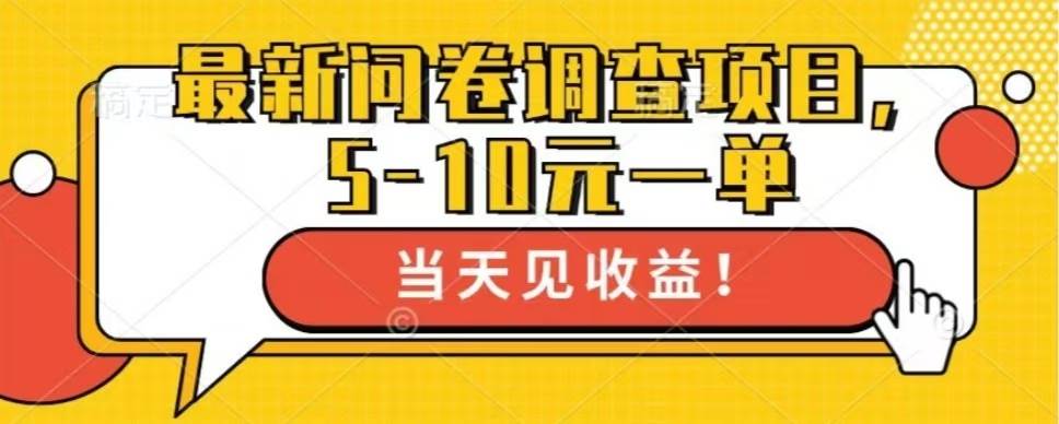 （13167期）最新问卷调查项目，单日零撸100＋-蓝天项目网