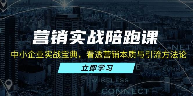 （13146期）营销实战陪跑课：中小企业实战宝典，看透营销本质与引流方法论-蓝天项目网