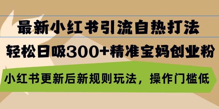 （13145期）最新小红书引流自热打法，轻松日吸300+精准宝妈创业粉，小红书更新后新…-蓝天项目网