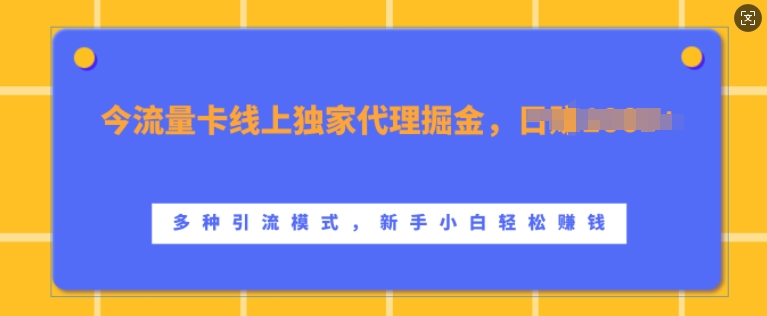 流量卡线上独家代理掘金，日入1k+ ，多种引流模式，新手小白轻松上手【揭秘】-蓝天项目网