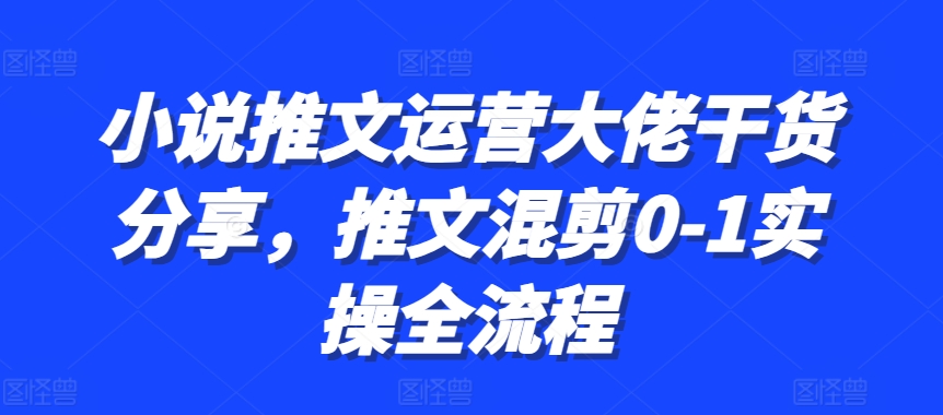 小说推文运营大佬干货分享，推文混剪0-1实操全流程-蓝天项目网