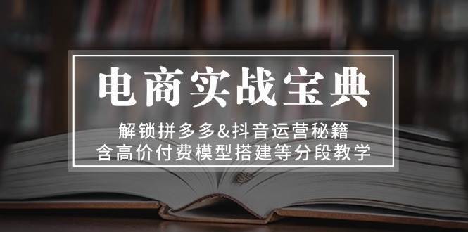 （13195期）电商实战宝典 解锁拼多多&抖音运营秘籍 含高价付费模型搭建等分段教学-蓝天项目网