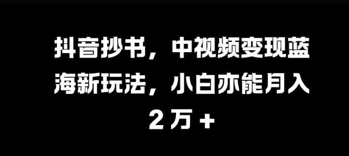 抖音抄书，中视频变现蓝海新玩法，小白亦能月入 过W【揭秘】-蓝天项目网