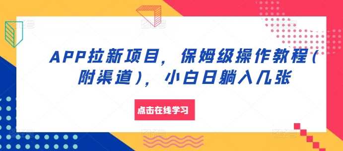 APP拉新项目，保姆级操作教程(附渠道)，小白日躺入几张【揭秘】-蓝天项目网