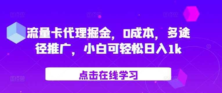 流量卡代理掘金，0成本，多途径推广，小白可轻松日入1k-蓝天项目网