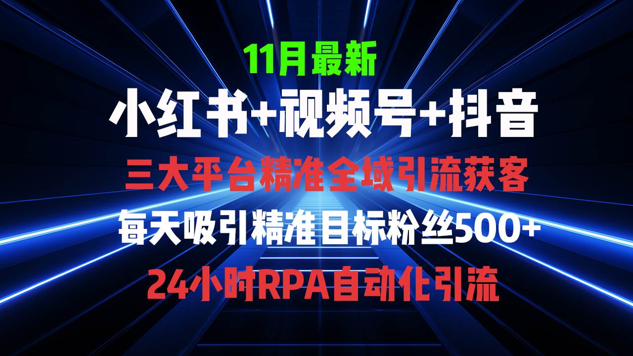 （13259期）全域多平台引流私域打法，小红书，视频号，抖音全自动获客，截流自…-蓝天项目网