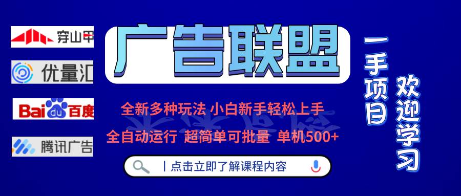 （13258期）广告联盟 全新多种玩法 单机500+  全自动运行  可批量运行-蓝天项目网