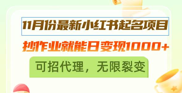 （13256期）11月份最新小红书起名项目，抄作业就能日变现1000+，可招代理，无限裂变-蓝天项目网