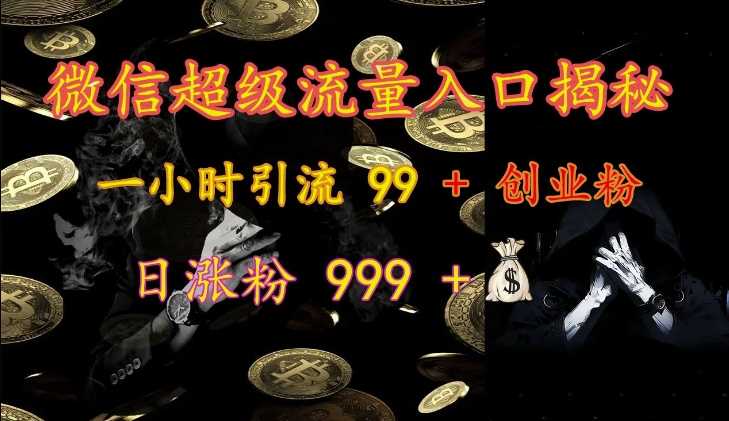 微信超级流量入口揭秘：一小时引流 99 + 创业粉，日涨粉 999 +-蓝天项目网