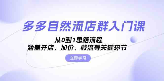 多多自然流店群入门课，从0到1思路流程，涵盖开店、加价、截流等关键环节-蓝天项目网